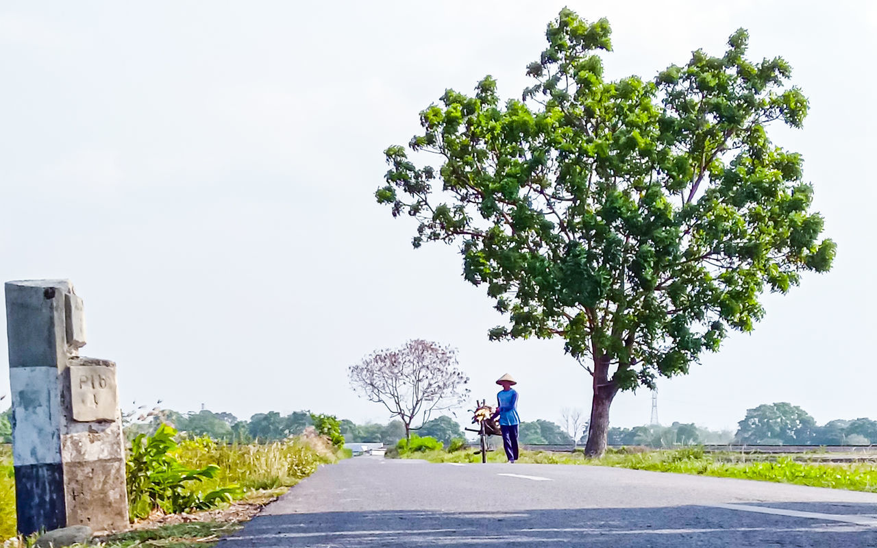plant, tree, road, nature, transportation, full length, day, one person, sky, adult, men, city, outdoors, lifestyles, street, leisure activity, walking, architecture, rear view, travel, women, casual clothing