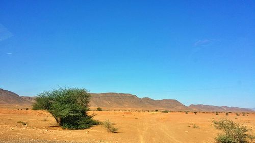 Scenic view of desert against clear blue sky