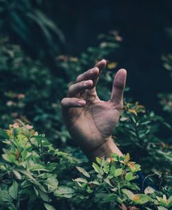 Cropped hand amidst leaves