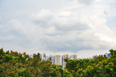 Trees and buildings against sky