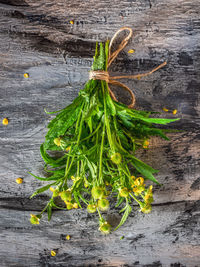 High angle view of vegetables on table