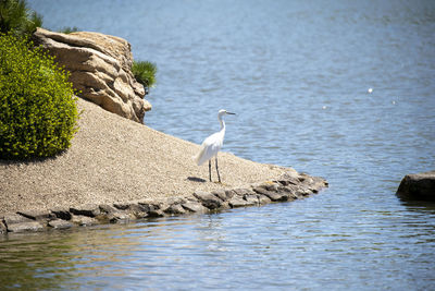 Lake of korakuen