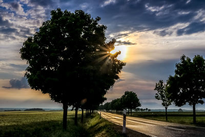 Trees on road against sky at sunset