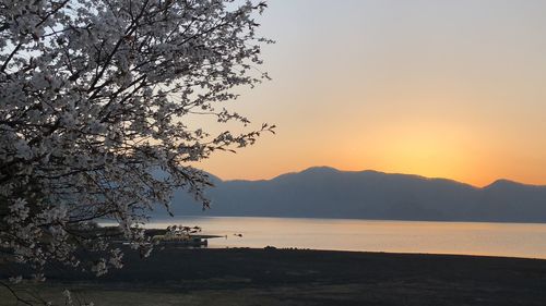 Scenic view of sea against orange sky