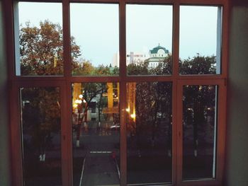 Reflection of trees on glass window