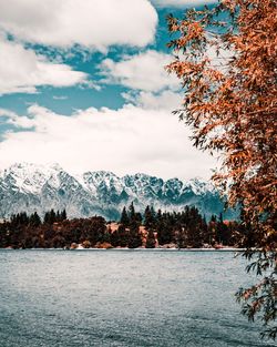 Scenic view of lake by trees against sky