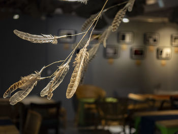 Close-up of rope tied to metal pole