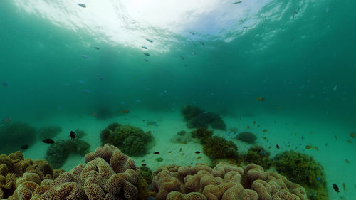 underwater
