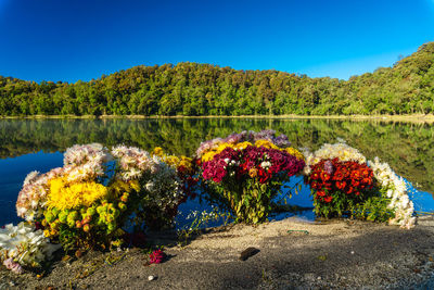 Scenic view of lake against blue sky