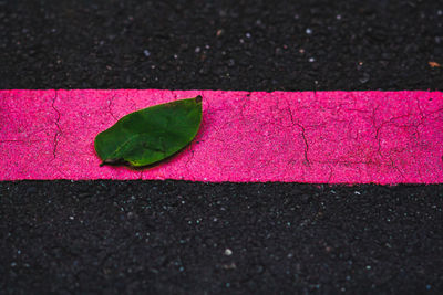 High angle view of pink leaves on road