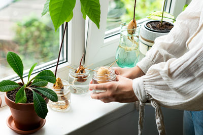 Midsection of woman holding potted plant on table