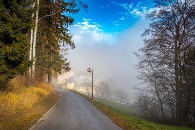 Road amidst trees against sky