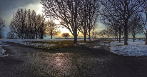 Bare trees on snow covered landscape