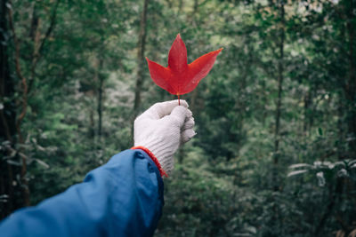 Cropped hand on leaf