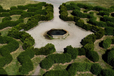 High angle view of plants in garden