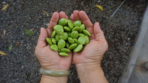 Cropped hands holding almonds