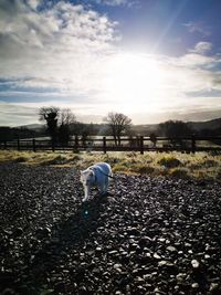 Man on field against sky