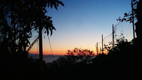 Silhouette trees against sky during sunset