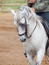 Low section of man riding horse