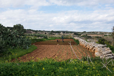 Scenic view of field against sky