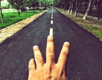 Road along trees