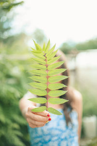 Close-up of hand holding plant