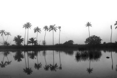 Scenic view of palm trees by lake against sky