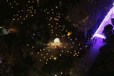 Close-up of fireworks against sky at night