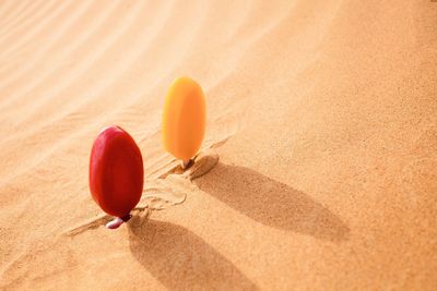 Close-up of orange flower on sand