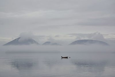 Scenic view of sea and mountains