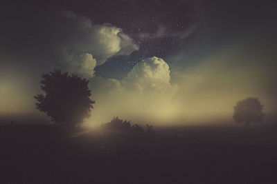 Low angle view of silhouette trees against sky at night