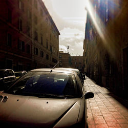 Cars on street in front of buildings on sunny day