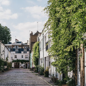 Street amidst trees and buildings against sky