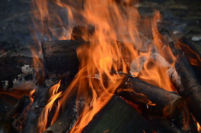 Close-up of bonfire