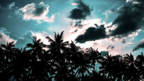 Low angle view of silhouette trees against sky