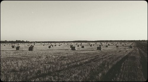 Scenic view of rural landscape