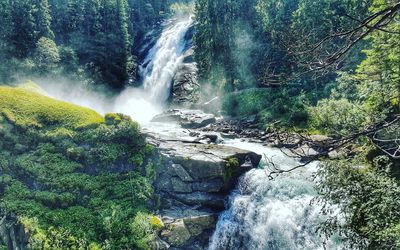 Scenic view of waterfall in forest