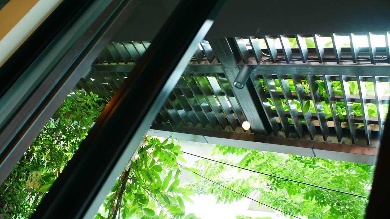 HIGH ANGLE VIEW OF PLANTS SEEN FROM WINDOW