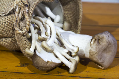 Close-up of mushrooms in sack