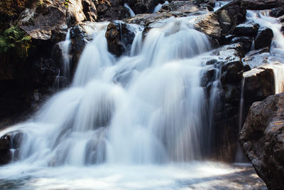 Scenic view of waterfall in forest