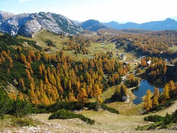 Scenic view of trees and mountains against sky