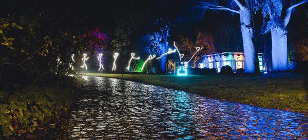 Illuminated footpath by trees at night