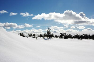 Snow covered landscape