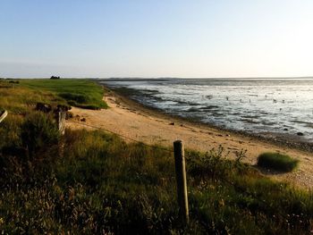 Scenic view of beach against clear sky