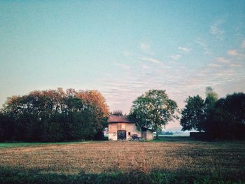 Scenic view of grassy field against sky