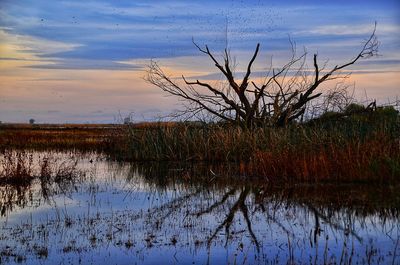 Scenic view of lake against sky at sunset