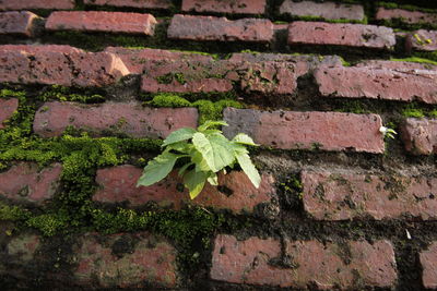 Full frame shot of weathered wall