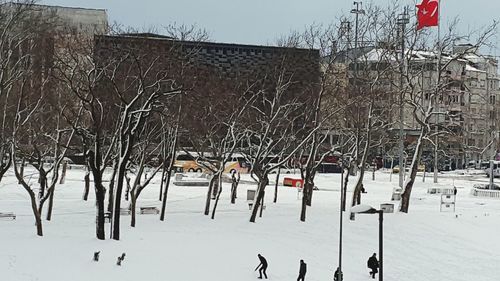 snow