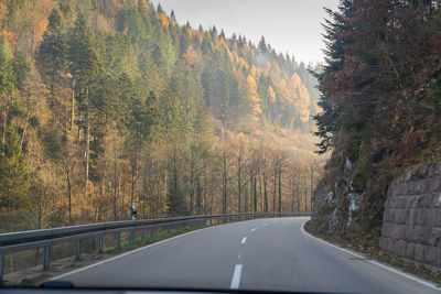 Road amidst trees and plants seen through car windshield