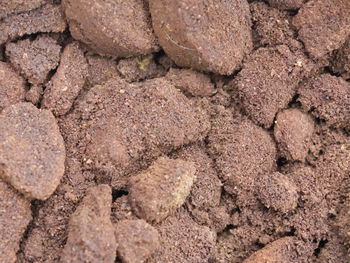 Full frame shot of rocks